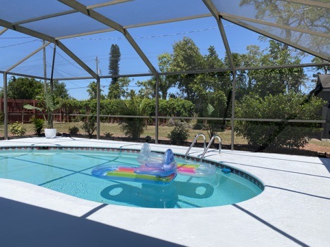 The finished pool: clear water, a white deck, the screened cage rebuilt and planting along the boundary beyond.