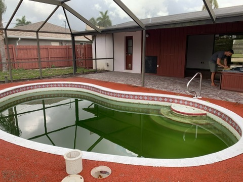 The pool at purchase, inside its screened cage: the water green and dead, the surrounding deck coated red.